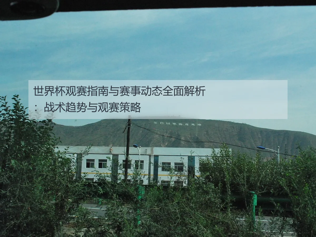 世界杯观赛指南与赛事动态全面解析：战术趋势与观赛策略