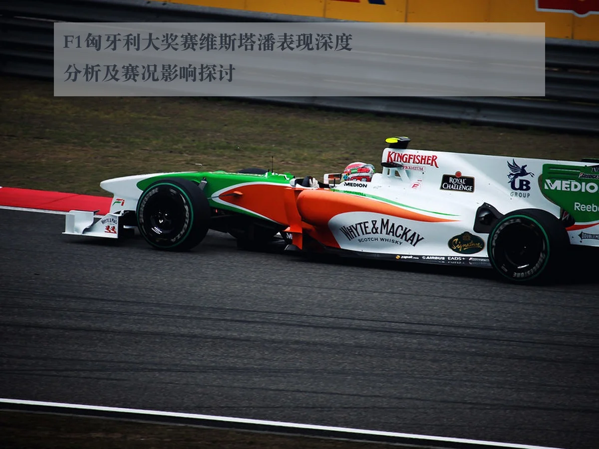 F1匈牙利大奖赛维斯塔潘表现深度分析及赛况影响探讨